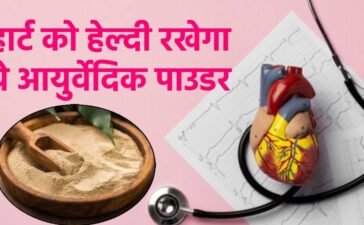 हार्ट की नसों का ब्लॉकेज खोल देगा ये आयुर्वेदिक पाउडर, बस खाली पेट ऐसे कर लें सेवन, तेजी से दौड़ेगा खून