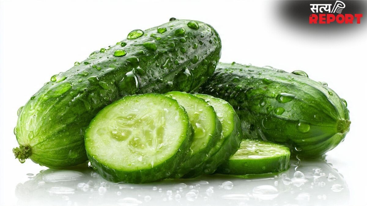 कड़वा निकल गया खीरा तो क्या करें, इन 3 आसान तरीकों से दूर करें कड़वाहट