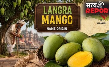 कैसे पड़ा आम का ‘लंगड़ा’ नाम, क्या है इसकी असली पहचान