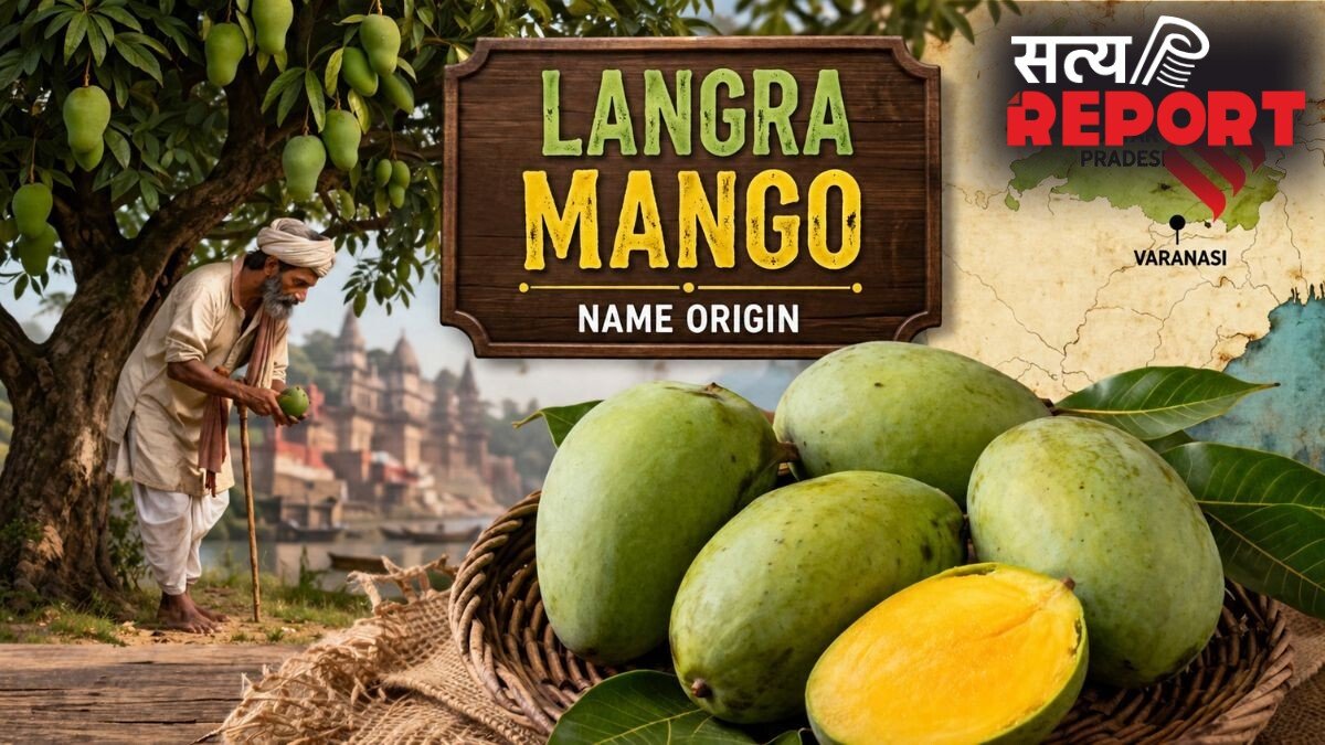 कैसे पड़ा आम का ‘लंगड़ा’ नाम, क्या है इसकी असली पहचान