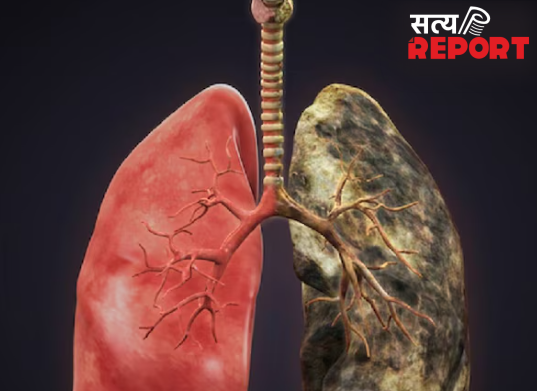 फल-सब्जियों से कैसे फैल रहा है लंग्स कैंसर, रिसर्च में हुआ चौंकाने वाला खुलासा