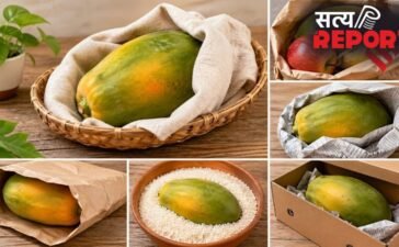 नहीं खाना मार्केट का पपीता, तो घर पर इन 3 देसी तरीकों से पकाएं