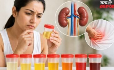 पेशाब के रंग से समझें किडनी, हाइड्रेशन और बीमारी के संकेत, हंसा जी से जानिए कौन सा रंग कौन सी बीमारी का है संकेत