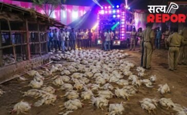 UP News: DJ की तेज धुन बनी 140 मुर्गियों की मौत की वजह, जांच में जुटी पुलिस…