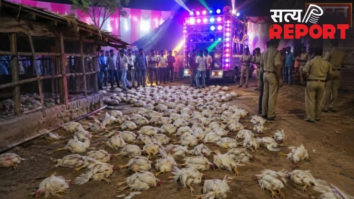 UP News: DJ की तेज धुन बनी 140 मुर्गियों की मौत की वजह, जांच में जुटी पुलिस…