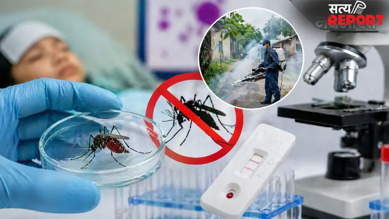 World Malaria Day 2026: अब खत्म होगा मलेरिया का खौफ! जानें वो नई तकनीकें जो बनेंगी मच्छरों का काल
