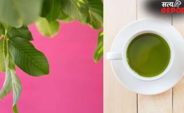 गैस और कब्ज की समस्या से छुटकारा दिलाएगी अमरूद के पत्तों की की चाय, रोजाना पीने से मिलेंगे ये कमाल के फायदे