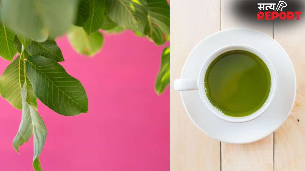 गैस और कब्ज की समस्या से छुटकारा दिलाएगी अमरूद के पत्तों की की चाय, रोजाना पीने से मिलेंगे ये कमाल के फायदे