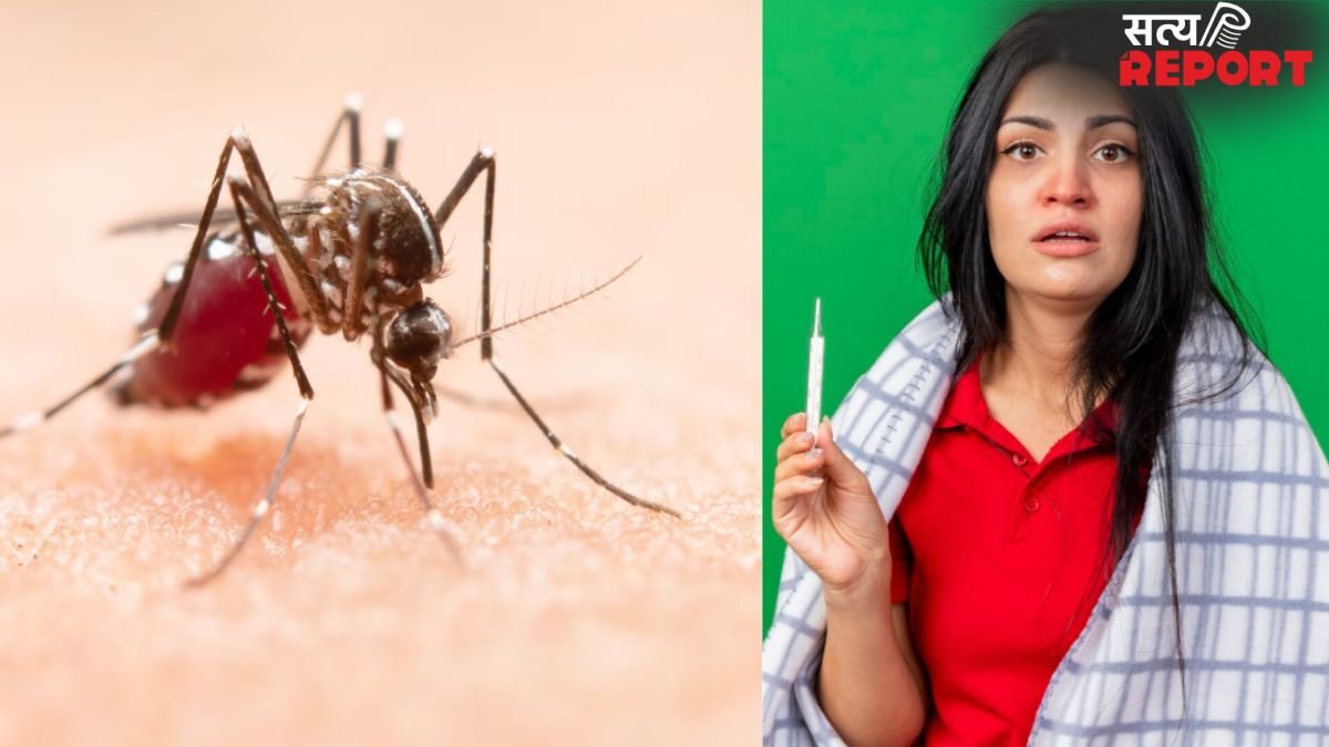 मलेरिया, डेंगू और वायरल बुखार के लक्षणों में क्या अतंर होता है?