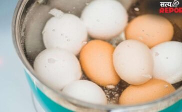 अंडे को कितने मिनट तक उबालना चाहिए? जान लें सही समय और तरीका