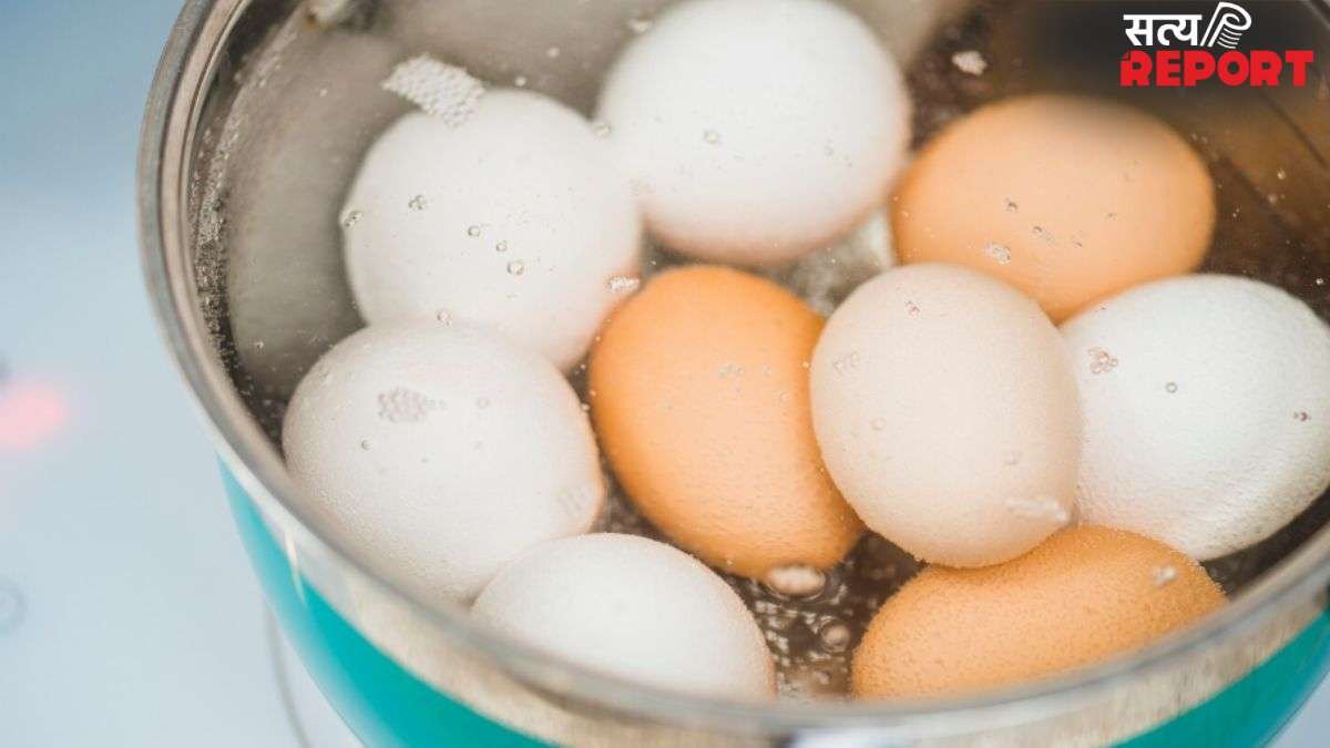 अंडे को कितने मिनट तक उबालना चाहिए? जान लें सही समय और तरीका