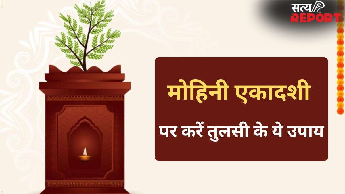 Mohini Ekadashi: मोहिनी एकादशी पर करें तुलसी से जुड़े 4 आसान उपाय, भगवान विष्णु भर देंगे खुशियों से झोली