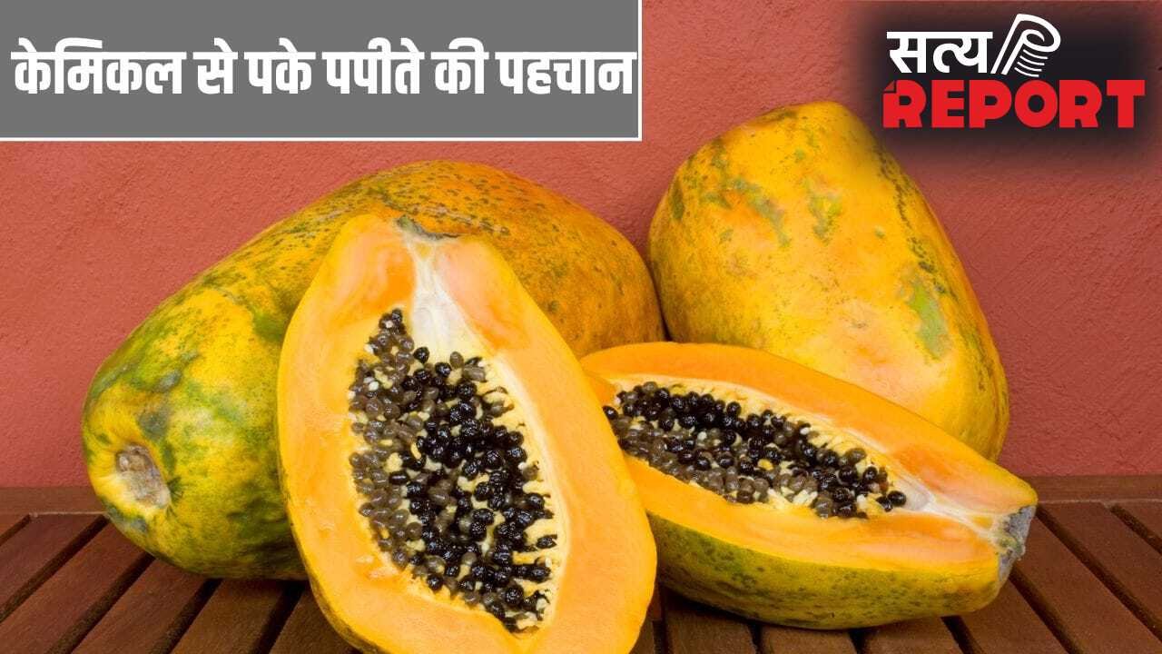 Adulteration in Papaya: केमिकल से पके हुए पपीते की कैसे करें पहचान? ये तरीके आएंगे काम