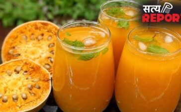 रोज पिएं एक गिलास बेल का शरबत, गर्मियों में नहीं पड़ेंगे बार-बार बीमार, एकदम टनाटन बनी रहेगी सेहत