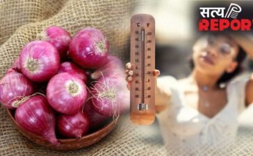 Heatstroke Myths: जेब में प्याज रखने से क्या लू से बचाव होता है? एक्सपर्ट ने दिया इसका जवाब