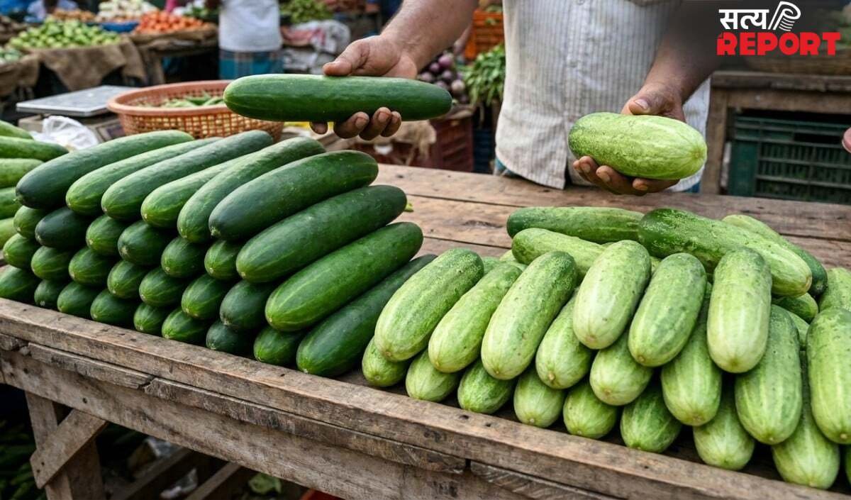 Summer में खीरा खरीदने की Smart Tricks: Desi या Hybrid, कौन है Health के लिए Best?