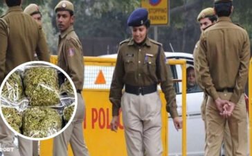 दिल्ली में इंटरनेशनल ड्रग्स सिंडिकेट का भंडाफोड़… 25 लाख का गांजा जब्त, 3 आरोपी दबोचे गए