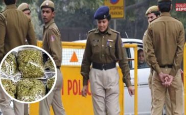 दिल्ली में इंटरनेशनल ड्रग्स सिंडिकेट का भंडाफोड़… 25 लाख का गांजा जब्त, 3 आरोपी दबोचे गए