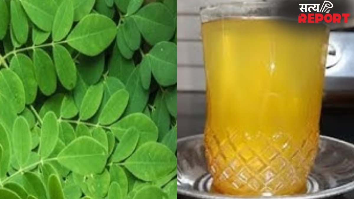 पिएं सहजन की पत्तियों का पानी, हाई ब्लड शुगर लेवल को कंट्रोल करने में मददगार, मिलेंगे फायदे ही फायदे