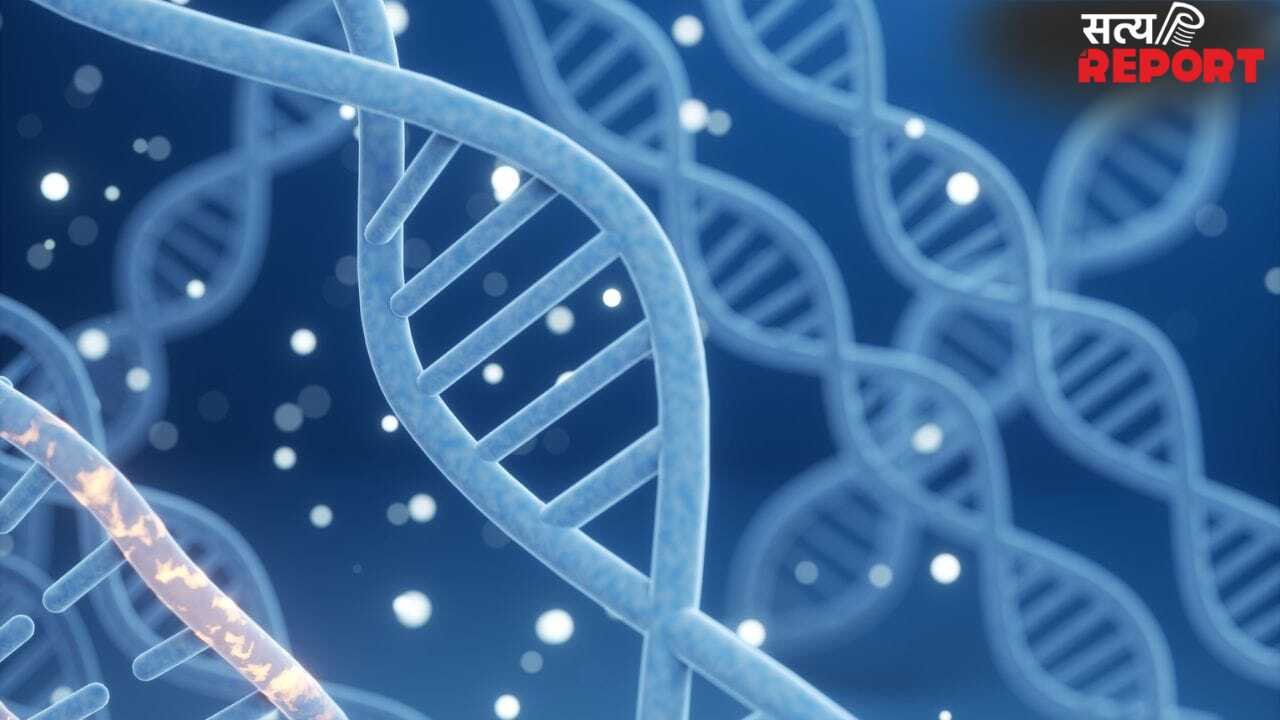 World DNA Day : डीएनए रिसर्च कैसे बदल रही भविष्य? कैंसर से महामारी तक इलाज के खुल रहे नए रास्ते