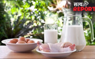 सबसे बड़ा मिथक, क्या मछली के साथ दूध नहीं पीना चाहिए, ऐसा करने से क्या होता है?