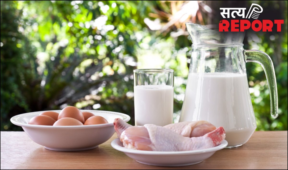 सबसे बड़ा मिथक, क्या मछली के साथ दूध नहीं पीना चाहिए, ऐसा करने से क्या होता है?