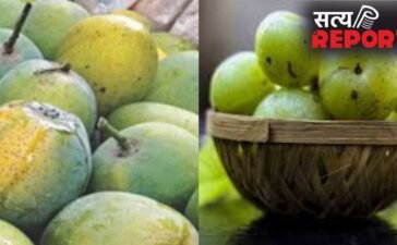 गंगा एक्सप्रेस-वे बनेगा गेमचेंजर, आम और आंवला व्यापार को मिलेगा बूस्ट