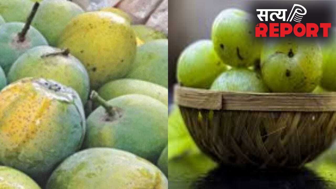 गंगा एक्सप्रेस-वे बनेगा गेमचेंजर, आम और आंवला व्यापार को मिलेगा बूस्ट
