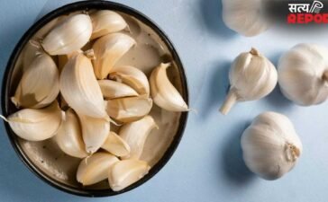 Garlic Benefits: रोज सुबह खाली पेट 2 लहसुन की कलियां खाने से क्या होता है? एक्सपर्ट से जानें
