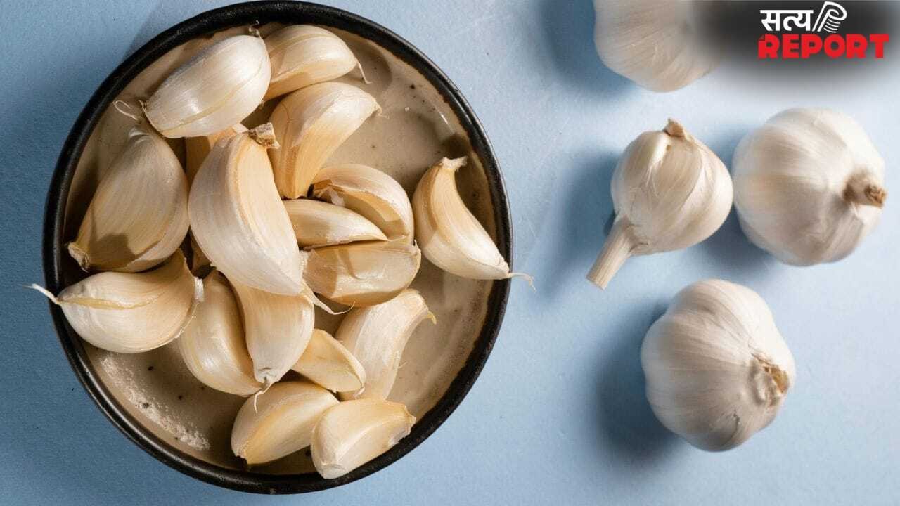 Garlic Benefits: रोज सुबह खाली पेट 2 लहसुन की कलियां खाने से क्या होता है? एक्सपर्ट से जानें