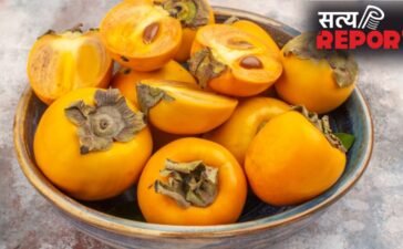 सेहत के लिए फायदेमंद जंगलों में मिलने वाला फल, रग-रग में भर देता है ताकत, जानिए कैसे करना चाहिए सेवन?