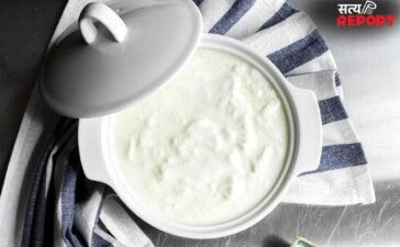 Homemade Curd: घर के जमाए दही में पानी होता है ज्यादा? इन तरीकों से इसे करें ठीक