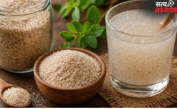 फिटनेस एक्सपर्ट ने 20 दिनों तक खाया इसबगोल, बताया पाचन से लेकर वजन तक पर दिखा असर, जानिए क्या हुए बदलाव
