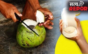 Lemonade vs Coconut Water: नींबू की शिकंजी या कोकोनट वाटर, गर्मी में लू से बचाव के लिए क्या है बेहतर