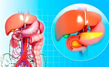 क्या महिलाओं में लिवर की बीमारियों के लक्षण पुरुषों से अलग होते हैं? कैसे दिखते हैं संकेत