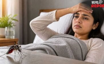 World Malaria Day 2026: गर्मी आते ही बढ़ जाता है मलेरिया का खतरा, ऐसे रखें खुद को सुरक्षित