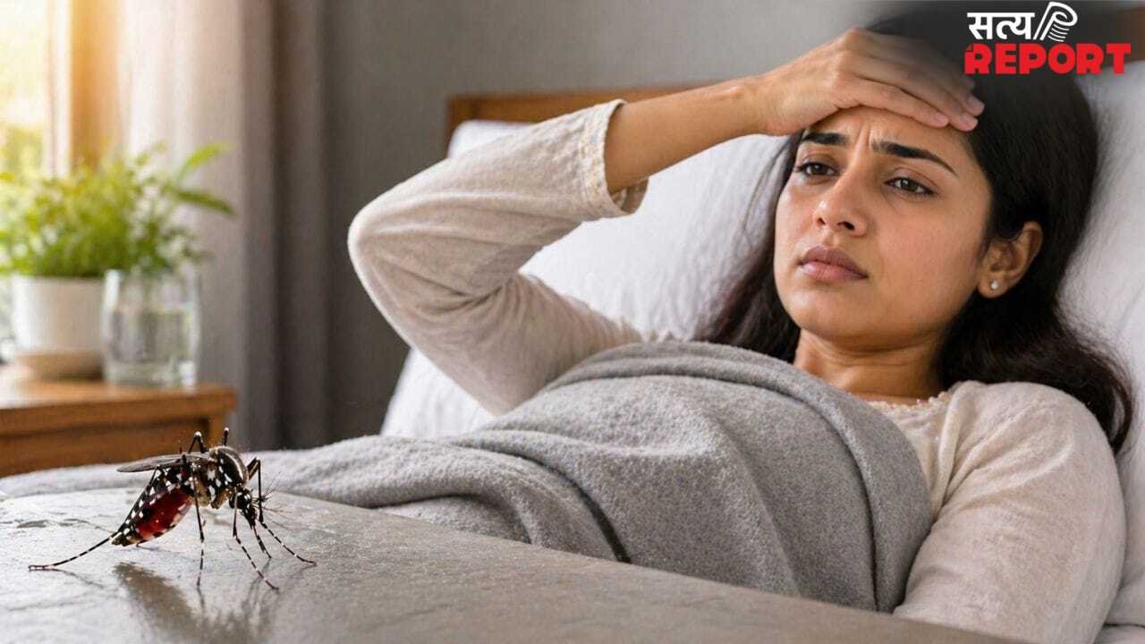 World Malarial Day 2026: गर्मी आते ही बढ़ जाता है मलेरिया का खतरा, ऐसे रखें खुद को सुरक्षित