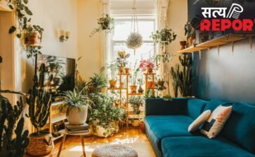 भीषण गर्मी में घर को ठंडा रखते हैं ये इनडोर प्लांट्स, बिना देखभाल के भी हरियाली रहेगी कायम