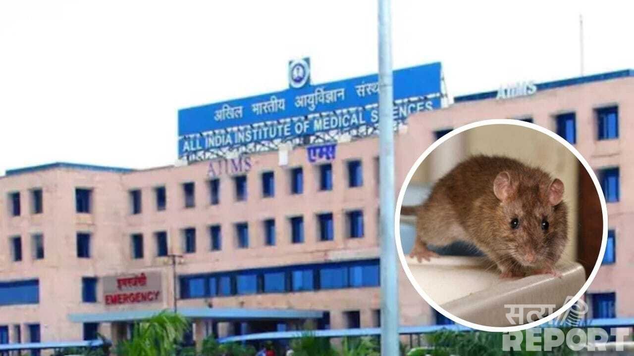 NICU में चूहे, वार्डों के बाहर कॉकरोच… भोपाल AIIMS में भर्ती अपने बच्चों का ध्यान रखें, Video वायरल