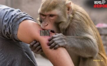 बंदर ने 6 महीने पहले काटा, अब युवक को हुआ रेबीज; हथेली में डालकर चाय-पानी पी रहा