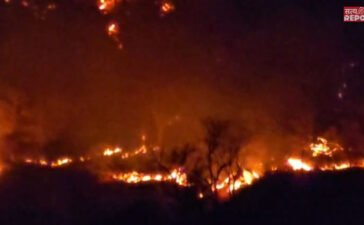 राजस्थान: आग की लपटें, चारों ओर धुआं…पाली में 4 दिनों से धधक रहा कुंभलगढ़ का जंगल