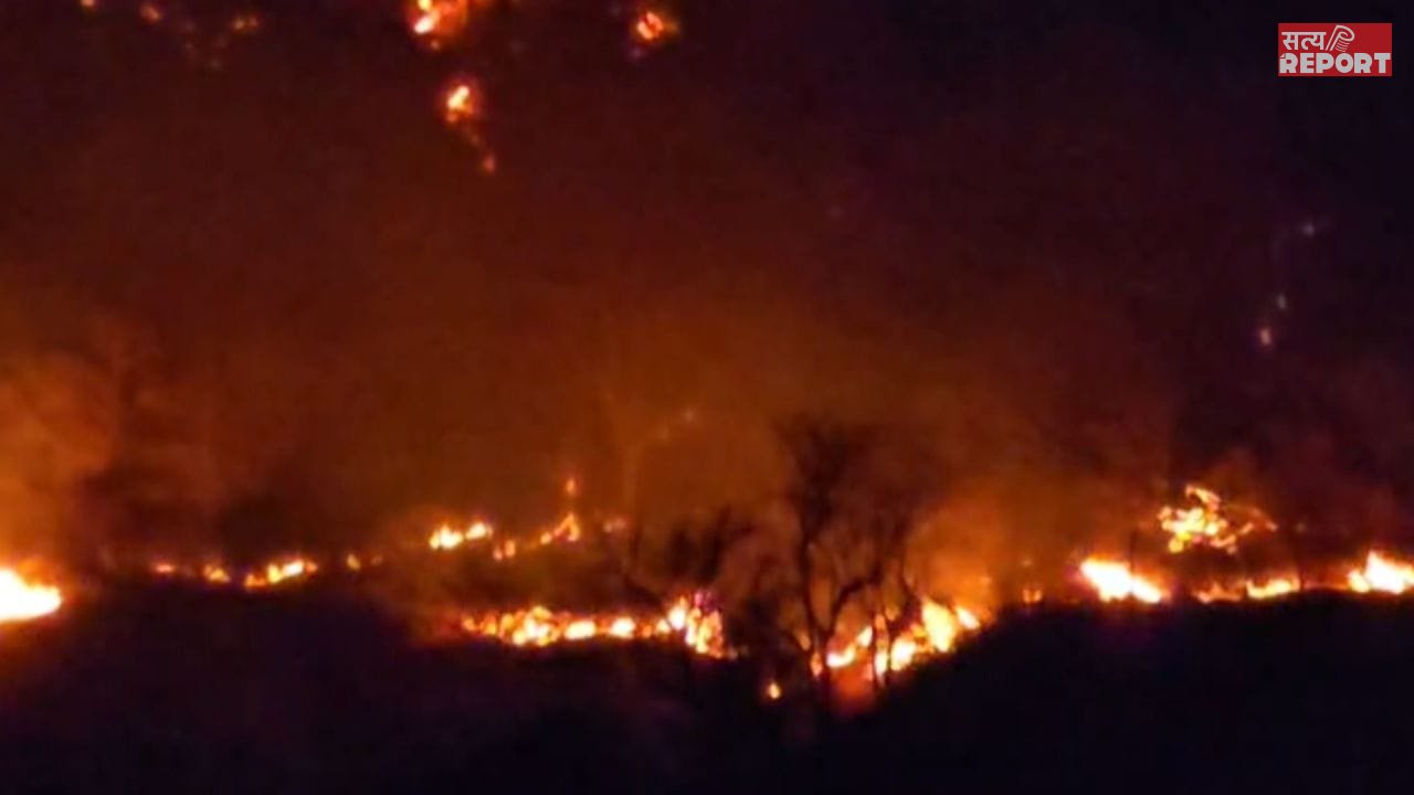 राजस्थान: आग की लपटें, चारों ओर धुआं…पाली में 4 दिनों से धधक रहा कुंभलगढ़ का जंगल