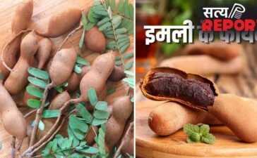 कच्ची से पकी इमली तक…इसे खाने से मिलते हैं शरीर को ढेरों अलग-अलग फायदे