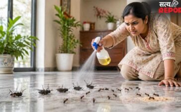 Smart Hacks: फर्श पर नहीं आएंगी मक्खियां, चींटियों का भी होगा सफाया…बस अपनाएं ये 5 स्मार्ट हैक