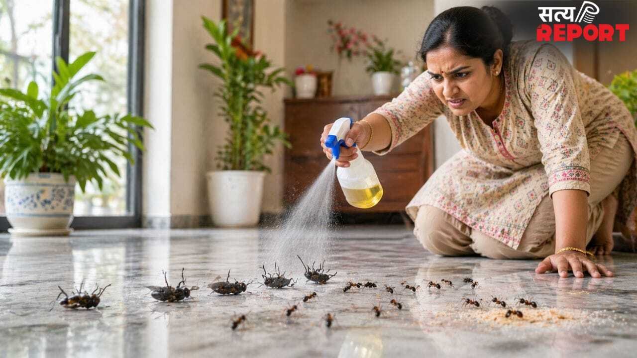 Smart Hacks: फर्श पर नहीं आएंगी मक्खियां, चींटियों का भी होगा सफाया…बस अपनाएं ये 5 स्मार्ट हैक