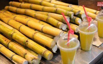 Sugarcane Juice : किन लोगों को नहीं पीना चाहिए गन्ने का जूस? डॉक्टर से जानें