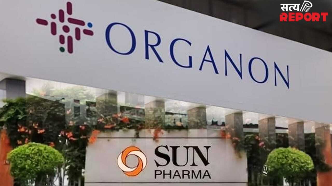 दवा बाजार में सन फार्मा की होगी महा-डील! $13 बिलियन के ऑफर से ‘ऑर्गेनन’ खरीदने की तैयारी