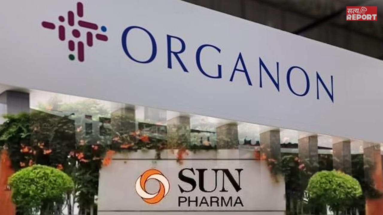 दवा बाजार में सन फार्मा की होगी महा-डील! $13 बिलियन के ऑफर से ‘ऑर्गेनन’ खरीदने की तैयारी