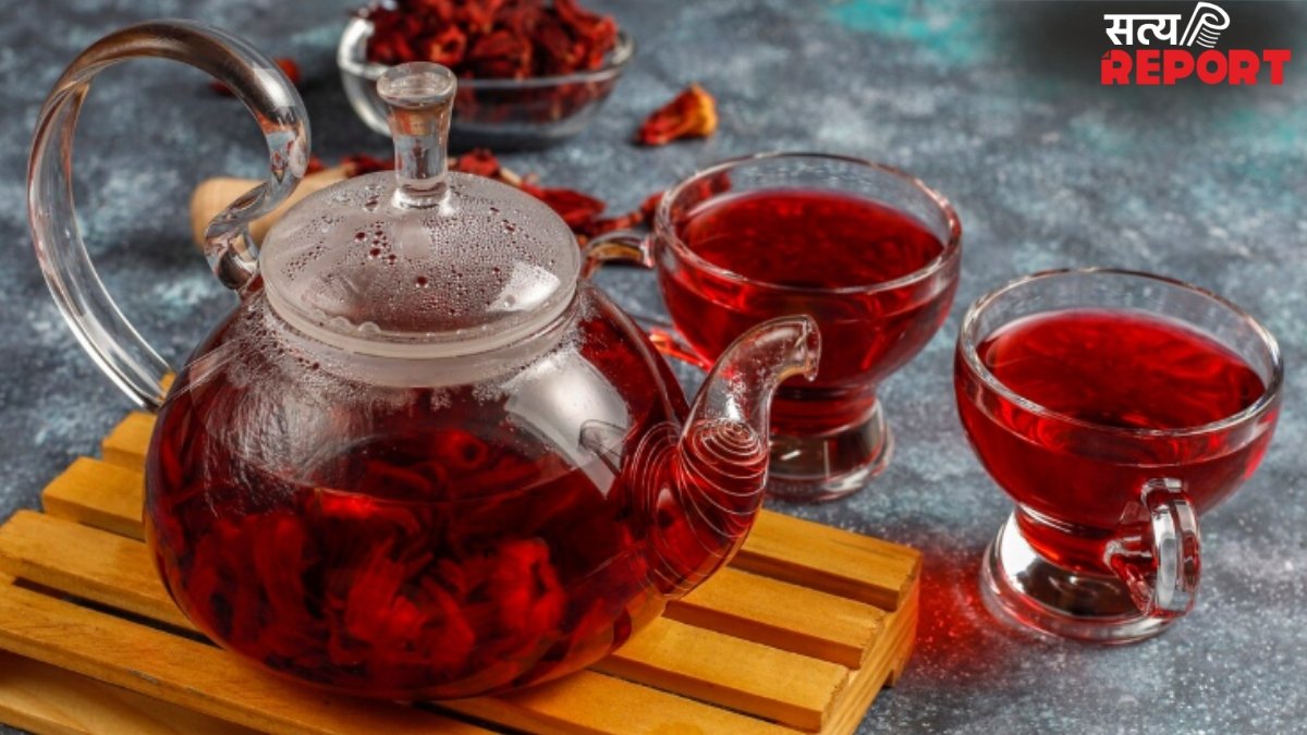 सेहत को चौतरफा लाभ पहुंचा सकती है गुड़हल की चाय, जानिए फायदे, बनाने का तरीका भी बेहद आसान