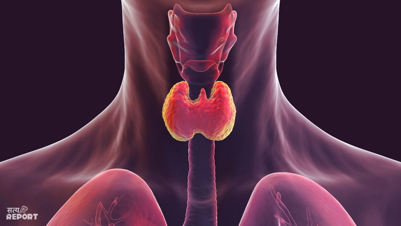 थाइराइड हो गया है तो लें ये डाइट, बीमारी रहेगी कंट्रोल, एक्सपर्ट ने बताया